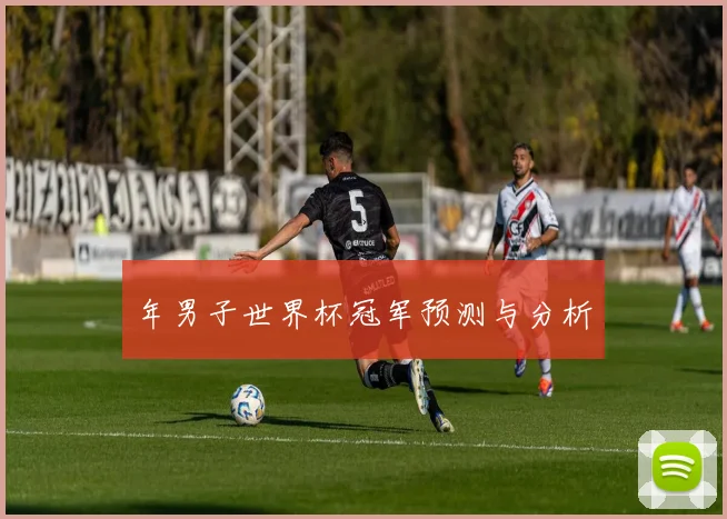 年男子世界杯冠军预测与分析