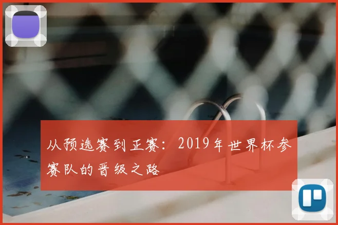 从预选赛到正赛:2019年世界杯参赛队的晋级之路