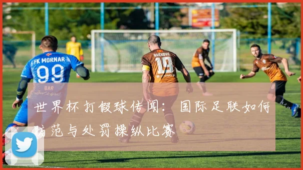 世界杯打假球传闻：国际足联如何防范与处罚操纵比赛